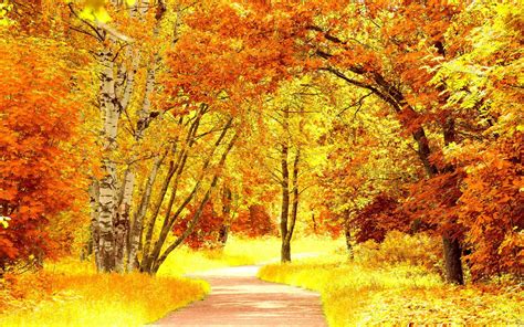 Fall Scenery Backgrounds - Wallpaper Cave