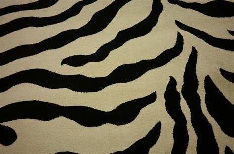 Ivory 5' x 5' Zebra Round Rug | Rugs.ca