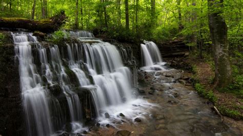 18 Most Fun Things To Do In Cookeville TN