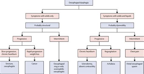 Baru 25+ Dysphagia Algorithm