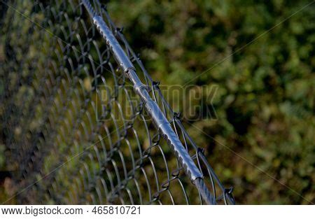 Wire Mesh Fencing Image & Photo (Free Trial) | Bigstock