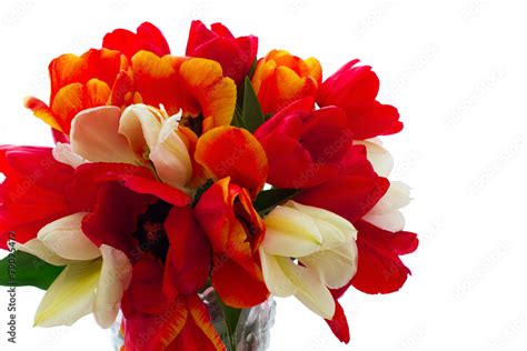 Bouquet of spring flower tulips Stock Photo | Adobe Stock