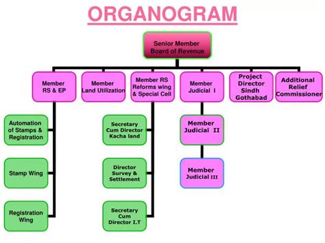 Organogram Template Powerpoint