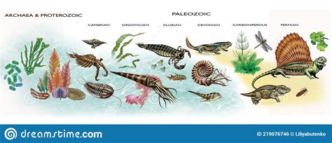 The Archean, Proterozoic and Paleozoic Eras Stock Illustration ...