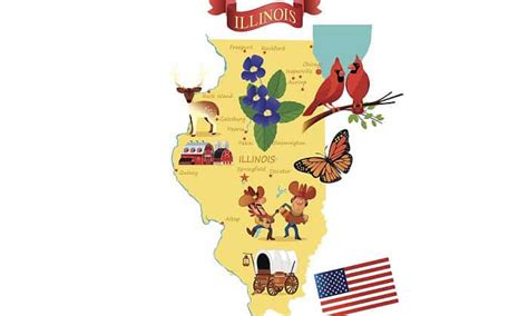 What is the State Bird of Illinois? - US State Bird Facts