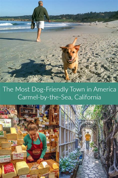 carmel valley dog friendly hotels - Davina Peel