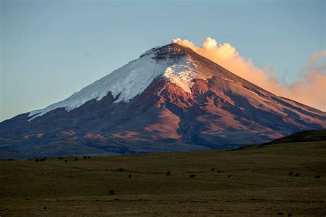 All you need to know about Cotopaxi National Park – Wanderbus Ecuador