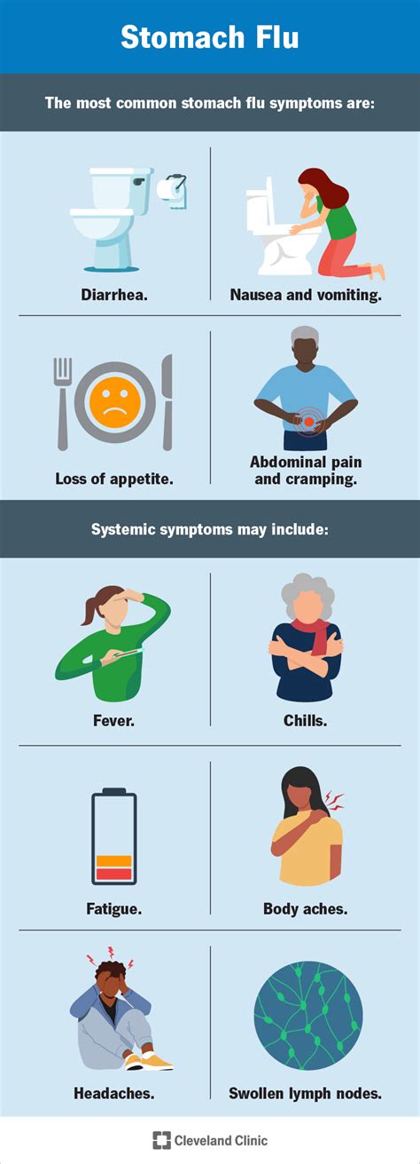 Stomach Bug 2024 Symptoms Images - Addia Anselma