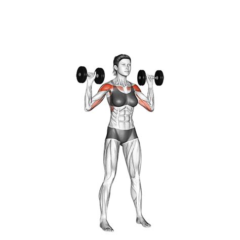 Dumbbell Shoulder Press - How To Do Properly & Muscles Worked