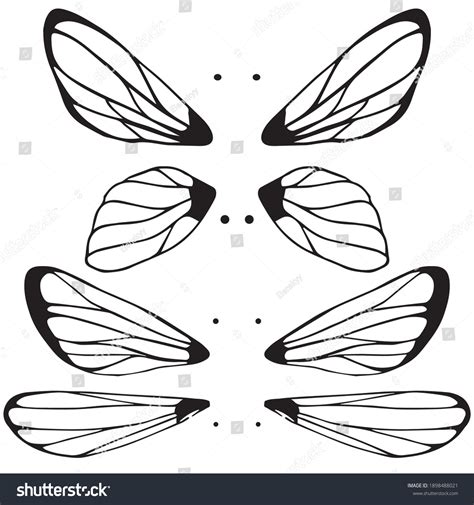 Dragonfly Wings Drawings