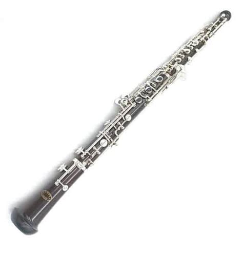 Best Oboe Brands (2024) | Ted's List