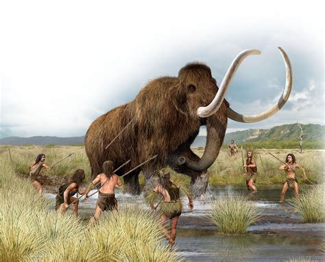 Of mammoth proportions: the difference between mammoths and mastodons