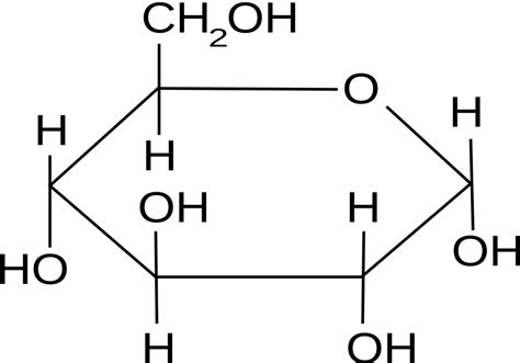 File:Alpha-D-glucose Haworth.svg - Wikimedia Commons