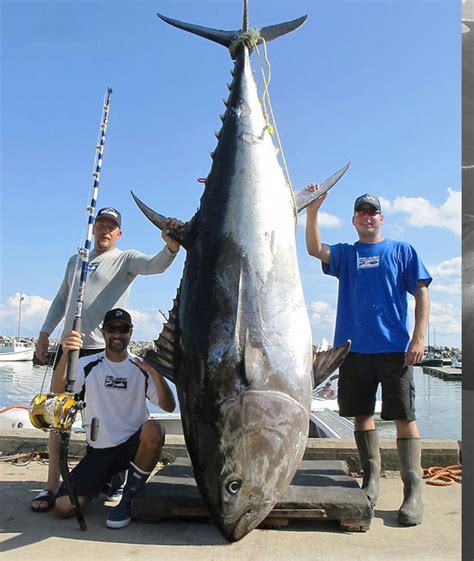 Giant Bluefin Tuna Rule the Northeast | PELAGIC Fishing Gear