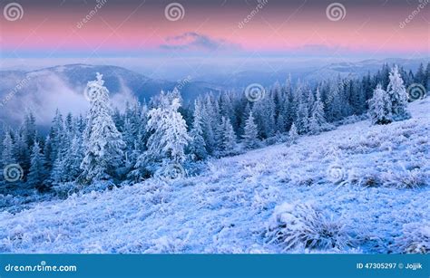 Beautiful Winter Sunrise in the Mountain Forest. Stock Image - Image of ...