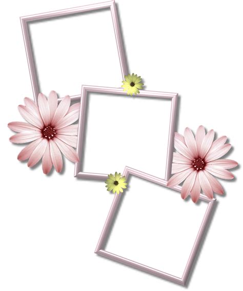 Collage Frame PNG Picture | PNG All