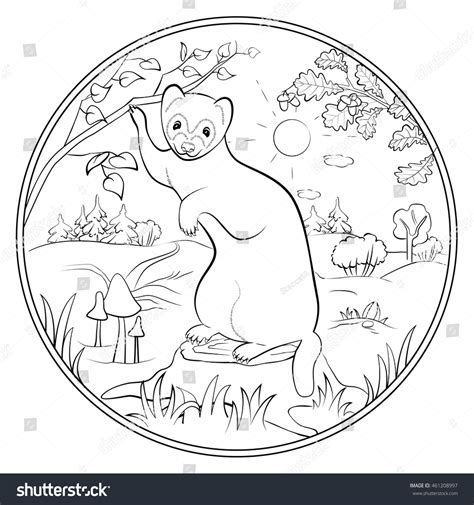 Coloring Page Cute Ferret Stock Vector (Royalty Free) 461208997 ...