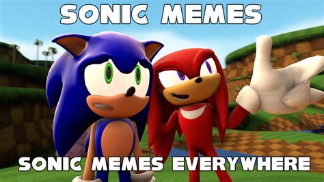 Sonic Memes Sonic Memes Everywhere by SpongeDragon15 on DeviantArt