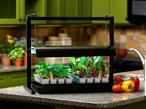 Seed Starting 101 | Indoor vegetable gardening, Growing vegetables indoors, Herb garden in kitchen