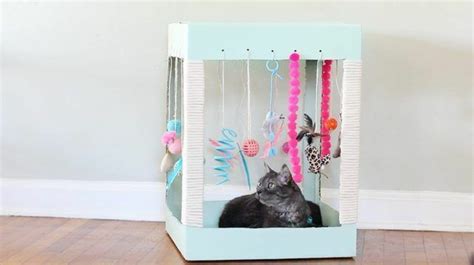 Katzenspielzeug selber machen: fantastische Ideen für Katzenliebhaber Homemade Cat Toys, Diy Cat ...