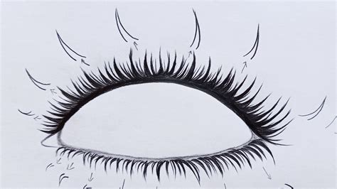 How to Draw Eyelashes - Step by Step Eyelashes Tutorial Specially Created for Beginners | How to ...