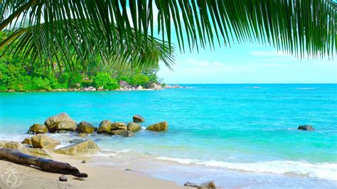 🎧 Tropical Island Beach Ambience Sound - Thailand Ocean Sounds For Relaxation And Holiday ...