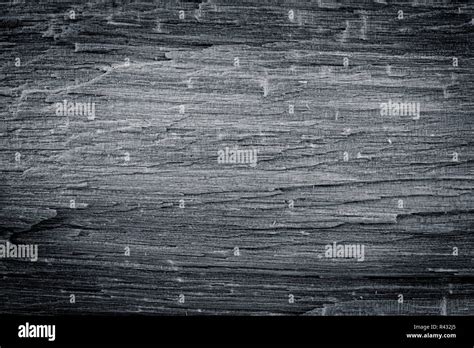 Birch wood texture Stock Photo - Alamy