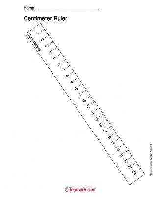 Printable Centimeter Ruler (Measurement, 1st - 5th Grade) - TeacherVision