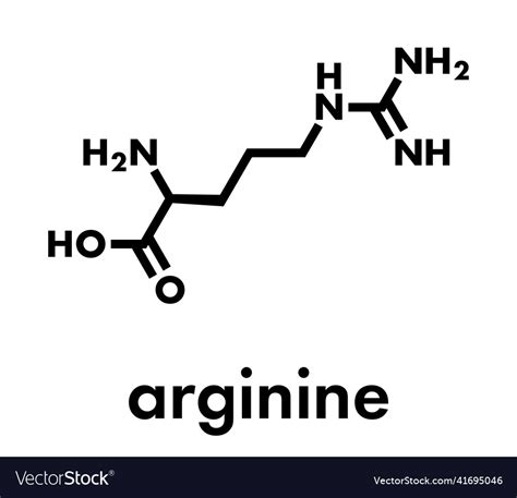 Arginine l-arginine arg r amino acid molecule Vector Image