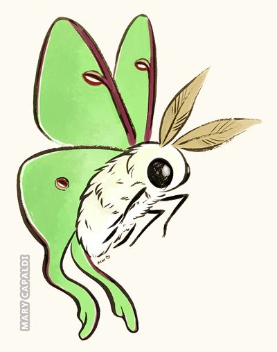 Moth art, Cute moth, Bug art