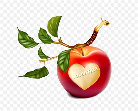 Leaf Apple Clip Art, PNG, 762x662px, Leaf, Apple, Art, Diet Food, Drawing Download Free