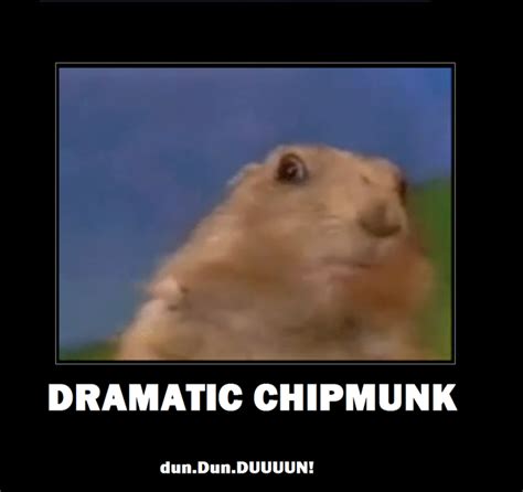 dramatic-chipmunk | The poor, misunderstood calorie