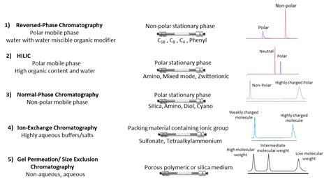 What Is Polar Stationary Phase - News Current Station In The Word