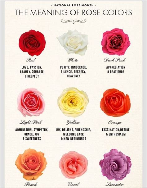 Top Inspiration 21+ Rose Flower Meaning