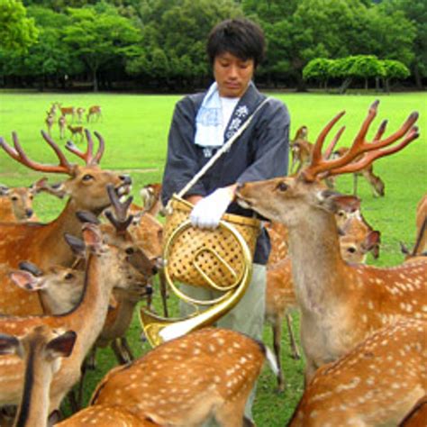 Must-See Attractions in Nara, Japan | TravelAge West