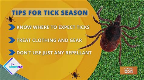 Tick prevention 101! | localmemphis.com