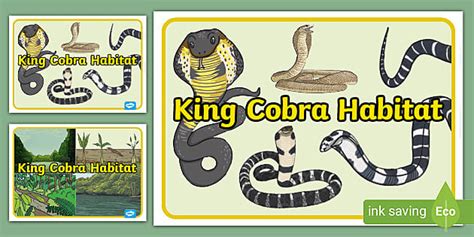 FREE! - King Cobra Habitat Posters - KS1 (teacher made)