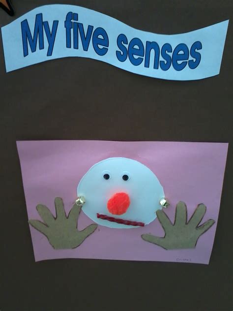 PreK--Preschool Ideas from Noey: the 5 senses