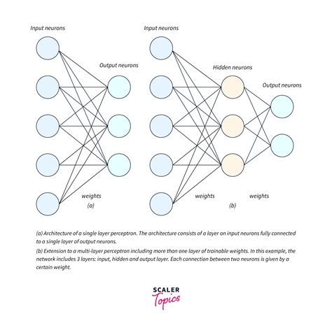 Perceptron Learning Algorithm