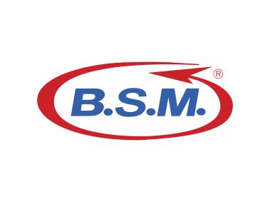 BSM Logo PNG Transparent Logo - Freepngdesign.com