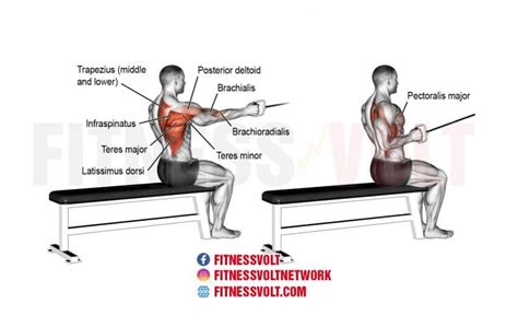 Single-arm cable seated row