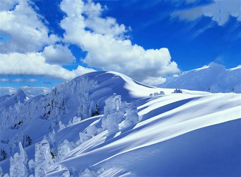 🔥 [49+] Snowy Backgrounds Wallpapers | WallpaperSafari