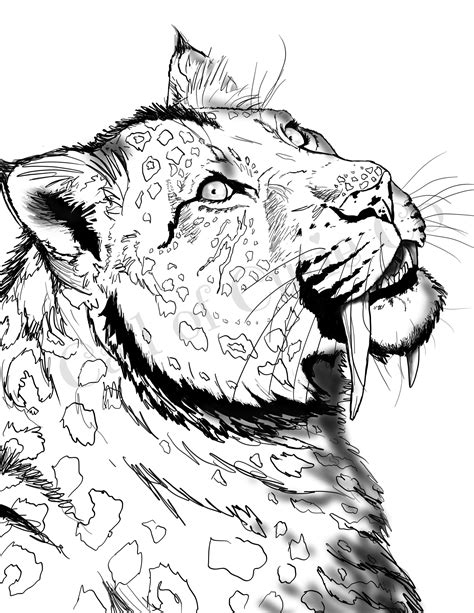 Saber Tooth Tiger Coloring Page, Animal Color Pages - Etsy