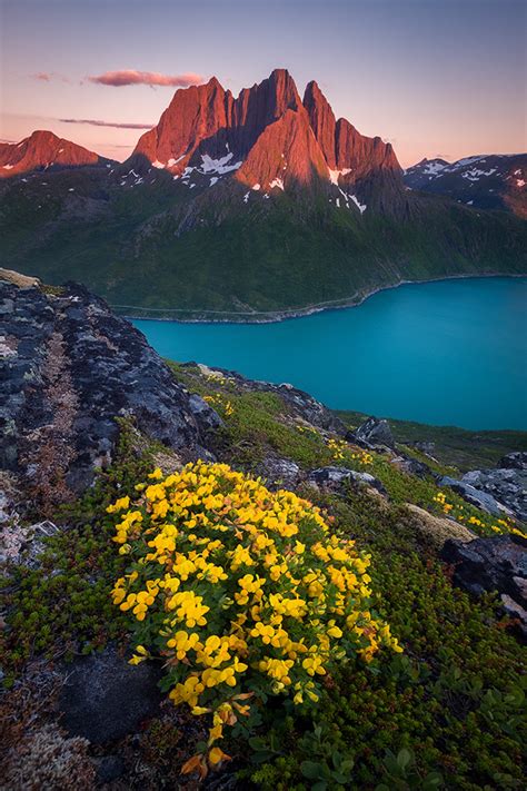 SENJA ISLAND on Behance