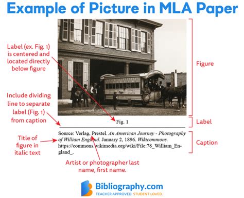 How to Cite a Picture in MLA | Bibliography.com