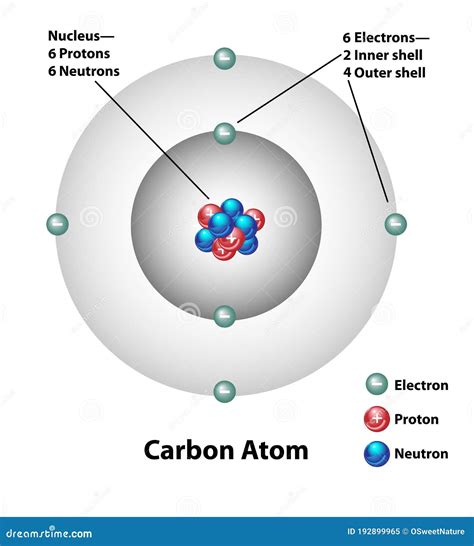 Carbon Atom Molecular Structure Labels Stock Vector - Illustration of labels, diagram: 192899965