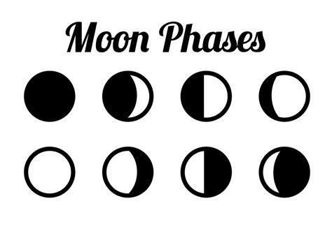 Phases Of The Moon SVG