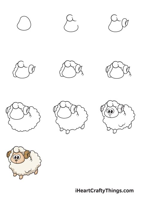 Sheep Drawing — How To Draw A Sheep Step By Step