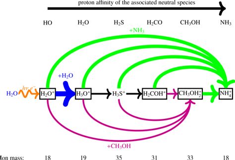 Schematic of the role of species with high proton affinity molecules on... | Download Scientific ...