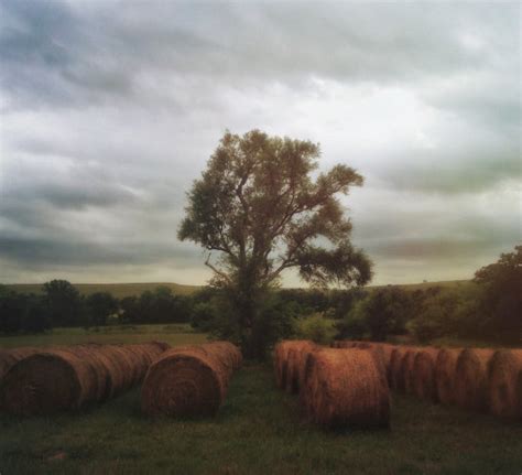 8 Tips For Incredible Rural Landscape Photography On iPhone